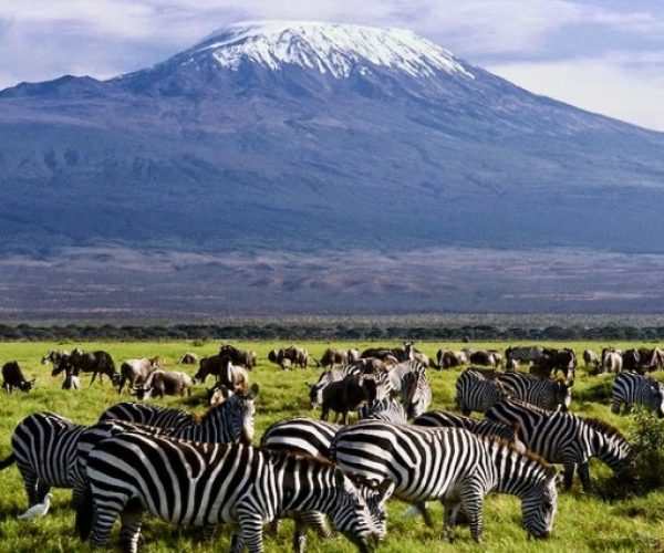 amboseli