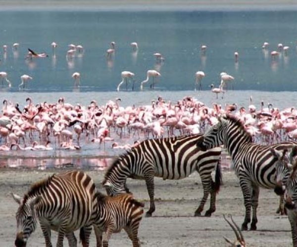 lake-nakuru